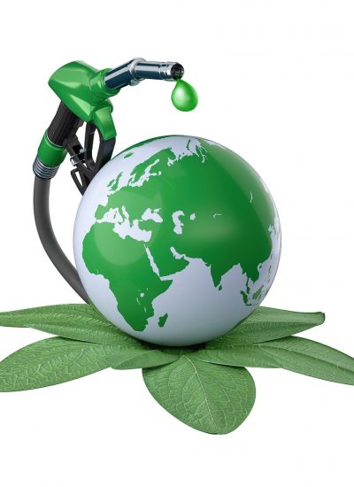 green energy, plant, bio-7754536.jpg